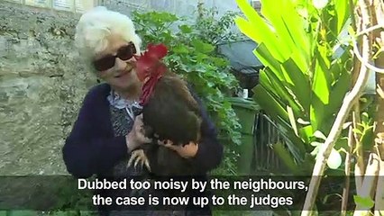 Maurice the noisy cockerel court case pushed back