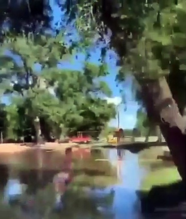 Ces jeunes se demandent si la branche de cet arbre est assez résistante et voici comment ils ont testé !