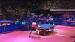 Wong Chun Ting vs Mattias Falck | 2019 ITTF Hong Kong Open Highlights (R16)
