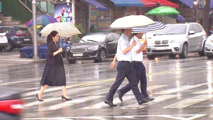 [날씨] 동해안 120mm↑호우...해안·제주 강풍 / YTN
