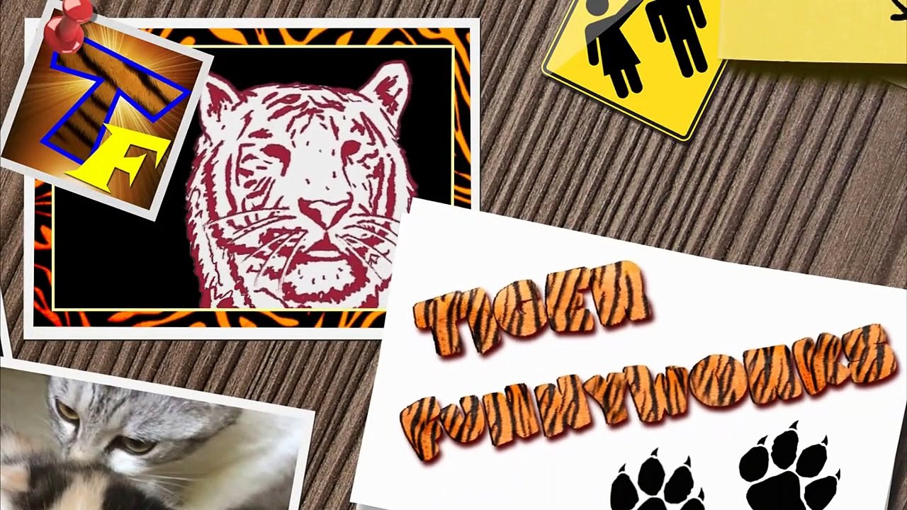 Funniest CATS  EVER Die LAUGIN!