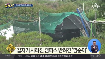 [핫플]갑자기 사라진 캠퍼스 반려견 ‘깜순이’
