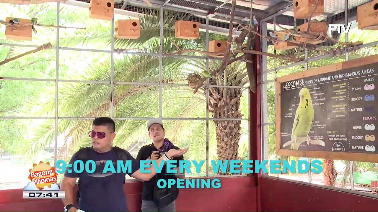 FRIDATES: Bird show sa Manila Ocean Park