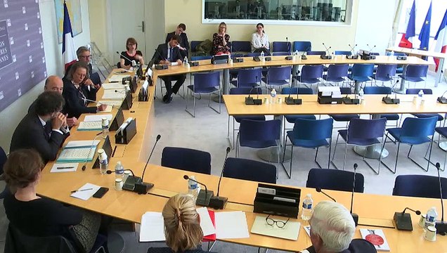 Commission des affaires européennes : M. Pierre Moscovici, commissaire européen aux affaires économiques - Jeudi 6 juin 2019