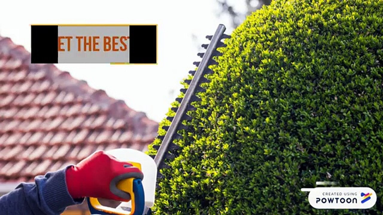 Hedge & Tree Trimming Services, Calgary