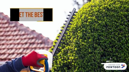 Hedge & Tree Trimming Services, Calgary