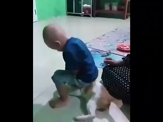 Digigit kucing !!! Lihat expresi wajah bayi berkepala plontos ini