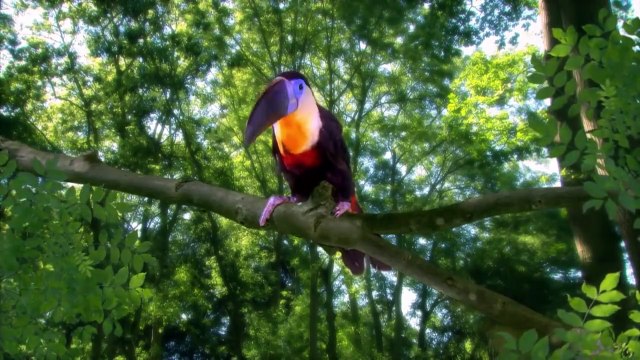 In the Night Garden 411 - Windy Day in the Garden | Videos For Kids