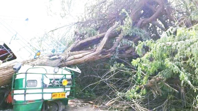 Uttar Pradesh में मौसम ने बरपाया कहर,आंधी-तूफान ने ली 19 लोगों की जान | वनइंडिया हिंदी