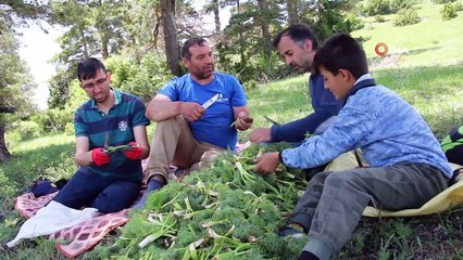 Oltu’da 'Çaşır' sezonu geç başladı