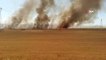 Gaziantep'te buğday ekili arazide yangın