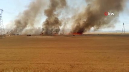Gaziantep'te buğday ekili arazide yangın