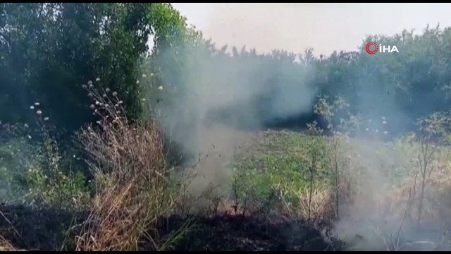 UNESCO Dünya Miras Listesi'nde bulunan Hevsel Bahçeleri yanmaktan son anda kurtuldu