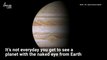 Jupiter is About to Be So Close, You Can See its Moons