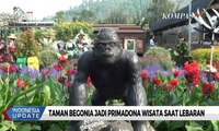 Taman Begonia Tawarkan Pemandangan Beragam Jenis Bunga