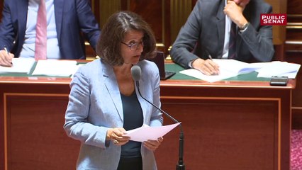 Health data hub  : « la prise en charge sanitaire des Français s'en trouvera améliorée » (Buzyn)