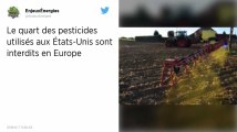 Pesticides. Plus du quart des produits utilisés aux États-Unis sont interdits en Europe