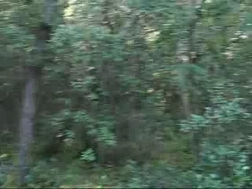 Retour de la plage été 2007