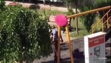 Salıncakta sallanan köpek inmek istemedi