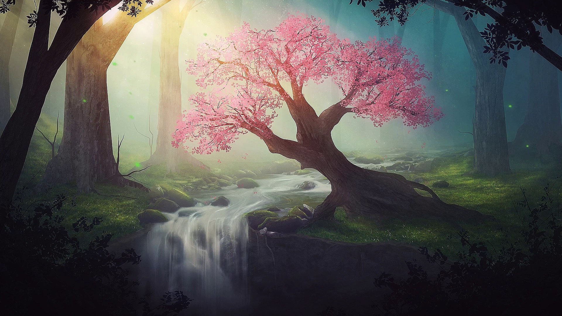 ⁣Beautiful Celtic Music:  Sacred Tree, Fantasy Music, Forest Music