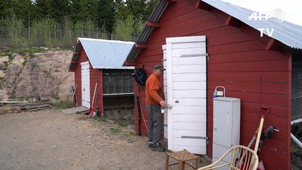 Days are numbered for Norway's fur farms