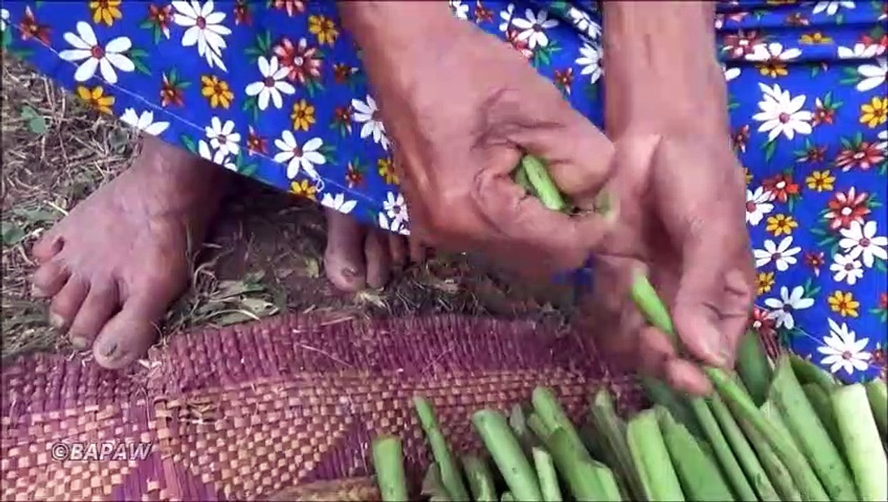 Lasia pousses  Cuisson des Aliments Sains, dans mon Village par la grand-mère | la Vie du Village