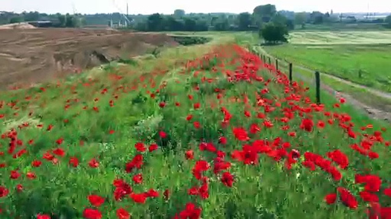 DNA - Vues aériennes des chantiers de la nouvelle Autoroute A355 (Grand Contournement Ouest de Strasbourg)