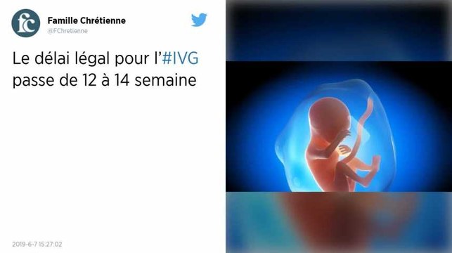 Sénat. L’allongement des délais de l’IVG est voté car l’hémicycle était dégarni