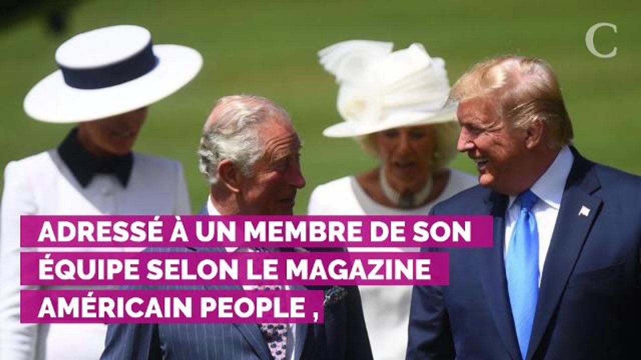 Ce petit clin d'oeil de Camilla Parker Bowles lors de la venue de Donald Trump à Clarence House