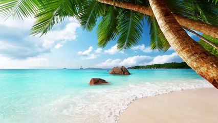 Relaxing Music for Stress Relief | 3 HOURS - 4K, Massage, Work, SPA, Relax, Study, Concentrate