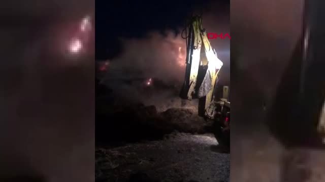 Ankara'da 3 bin saman balyası yandı -Ek