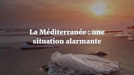 Le rapport alarmant sur la pollution de la mer Méditerranée