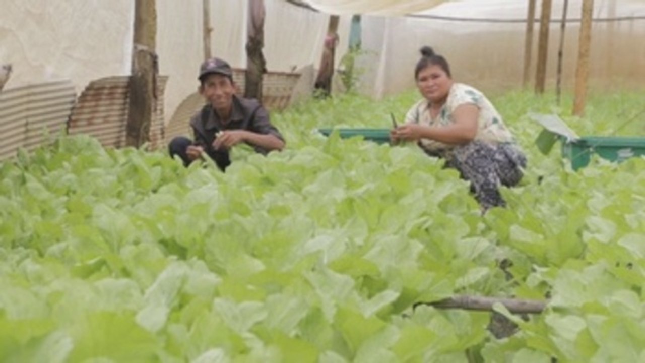 Comer alimentos sanos es "responsabilidad de todos", dice la ONU