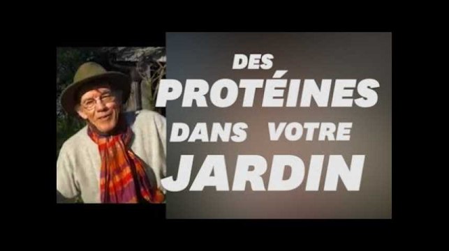 Pourquoi ne pas arracher toutes les mauvaises herbes de son jardin ?