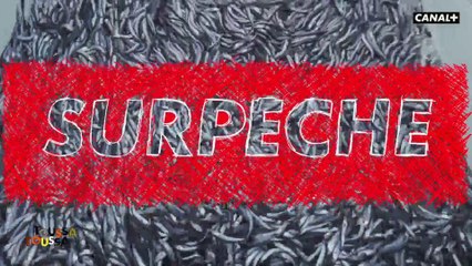 Les solutions pour lutter contre la surpèche qui menace notre écosystème