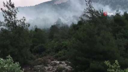 Bilecik'teki orman yangını devam ediyor