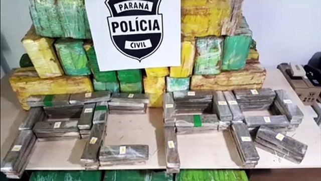Após denúncia, Denarc apreende 628 quilos de maconha