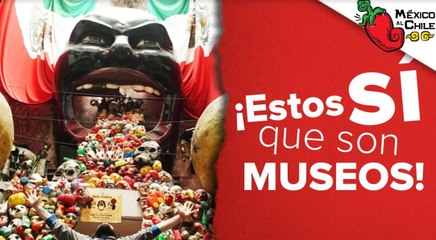 Los museos en la CDMX más raros que debes visitar