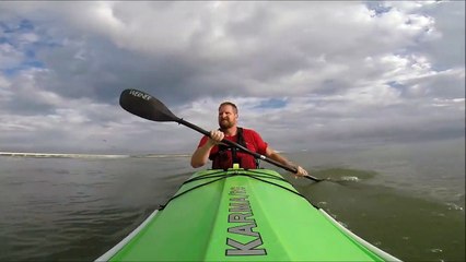 Ce kayakiste va se faire croquer sa rame par un requin
