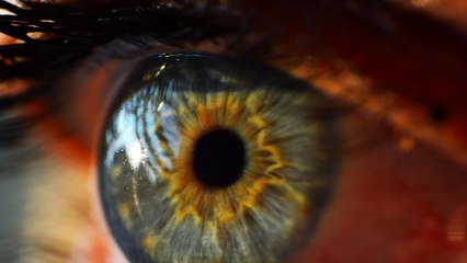 Scientists Have 3D-Printed Corneas