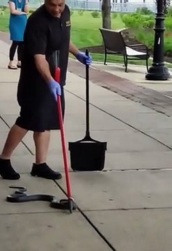 Sans hésiter, elle prend le serpent à mains nues et le remet dans l’eau