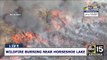 RAW: Wildfire burning near Horseshoe Lake