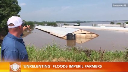 Download Video: Floods threaten farmers as inundated crops struggle to grow