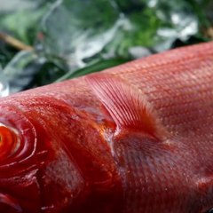 Playstation 5- nem as TVs da própria Sony estão à altura