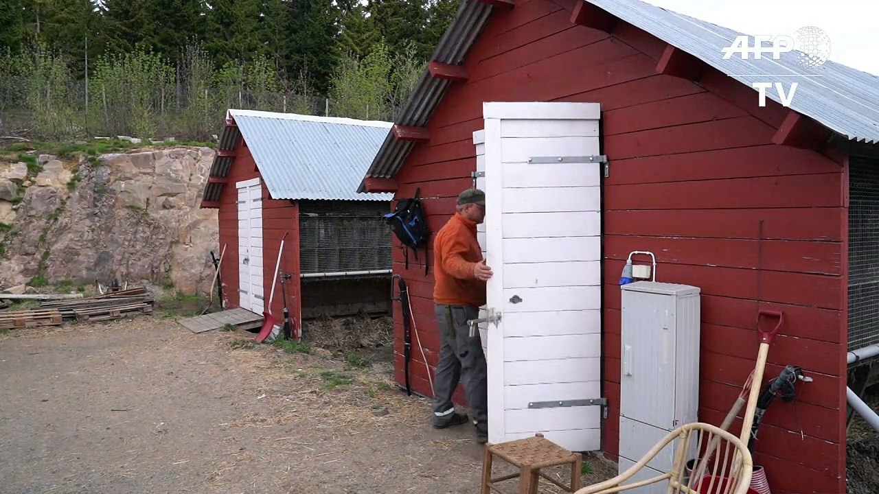 Produção de peles com dias contados