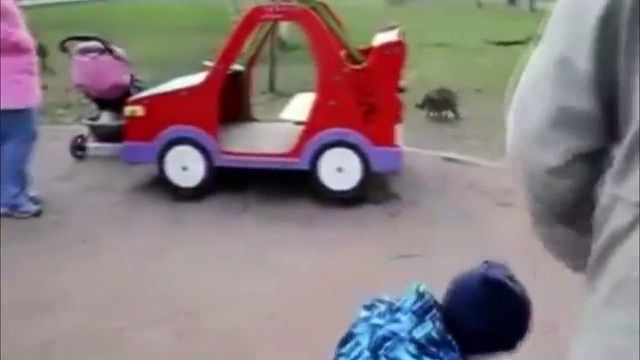 Angry Cats VS Dogs Funny