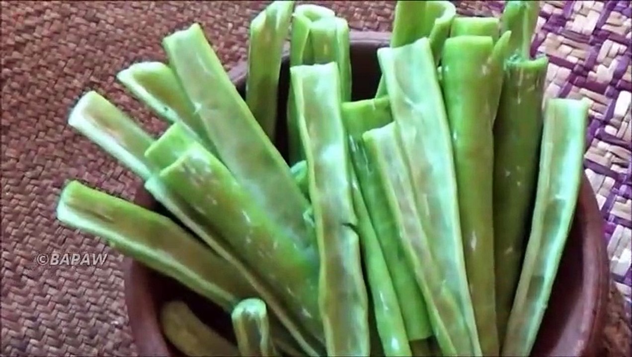 Santé Alimentaire du Village  Serpent Courge au Curry Préparé dans mon Village par la Mère et la Fille | la Vie du Village