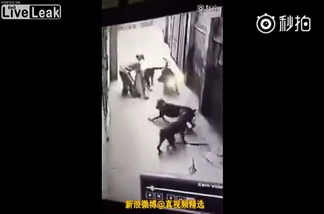 Rescatan a hombre de ser devorado por 4 perros en china