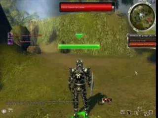 Farm rideau noir gladius