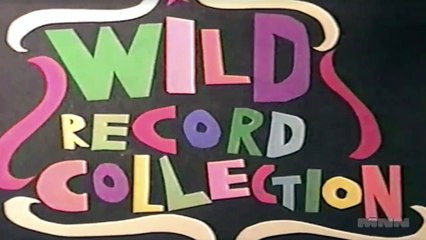 Wild Record Collection #3
